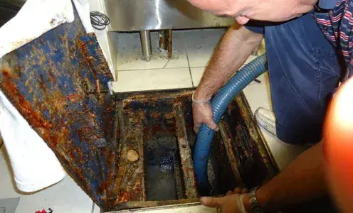 Limpeza e Coleta de Resíduos